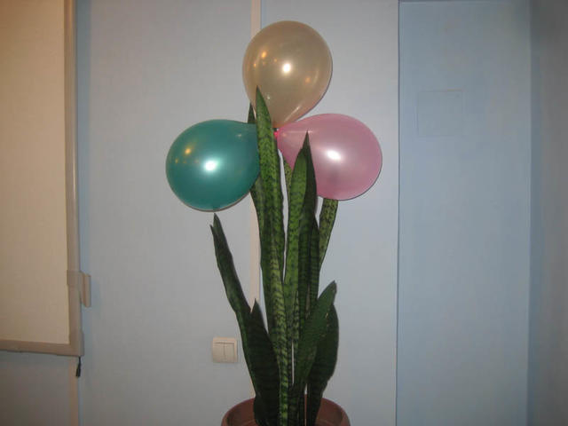 15_big